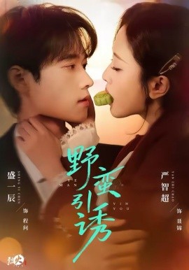 鸣龙少年
